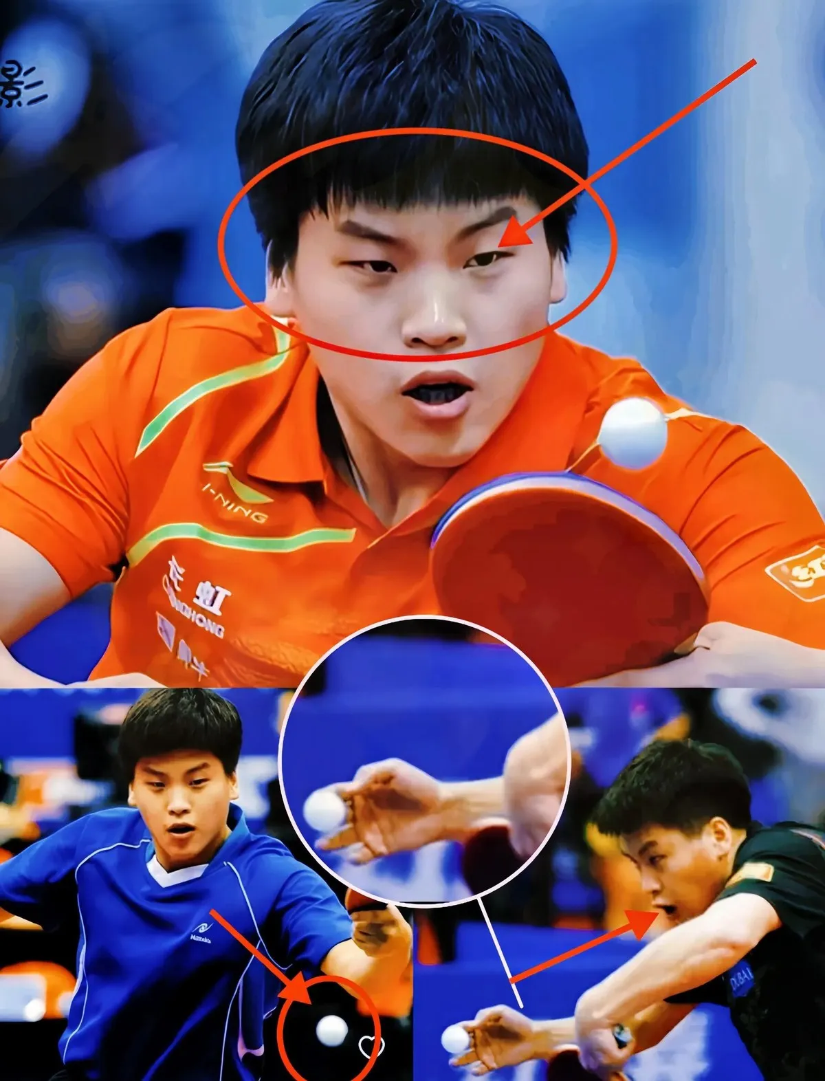 包含中国乒乓球队鏖战波兰乒乓球队，张继科完成帽子戏法的词条