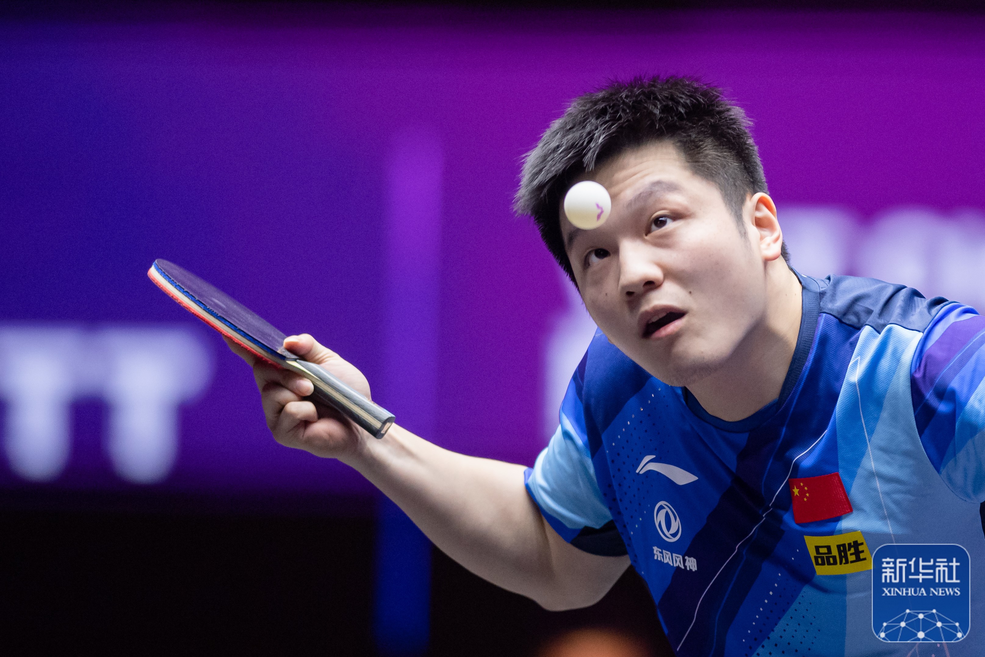 波兰乒乓球队力克瑞典乒乓球队,樊振东高光表现 波兰乒乓球队力克瑞典乒乓球队,樊振东高光表现