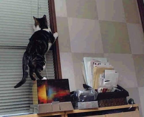 时空交错的荣耀，易建联率辽宁队逆转尼克斯