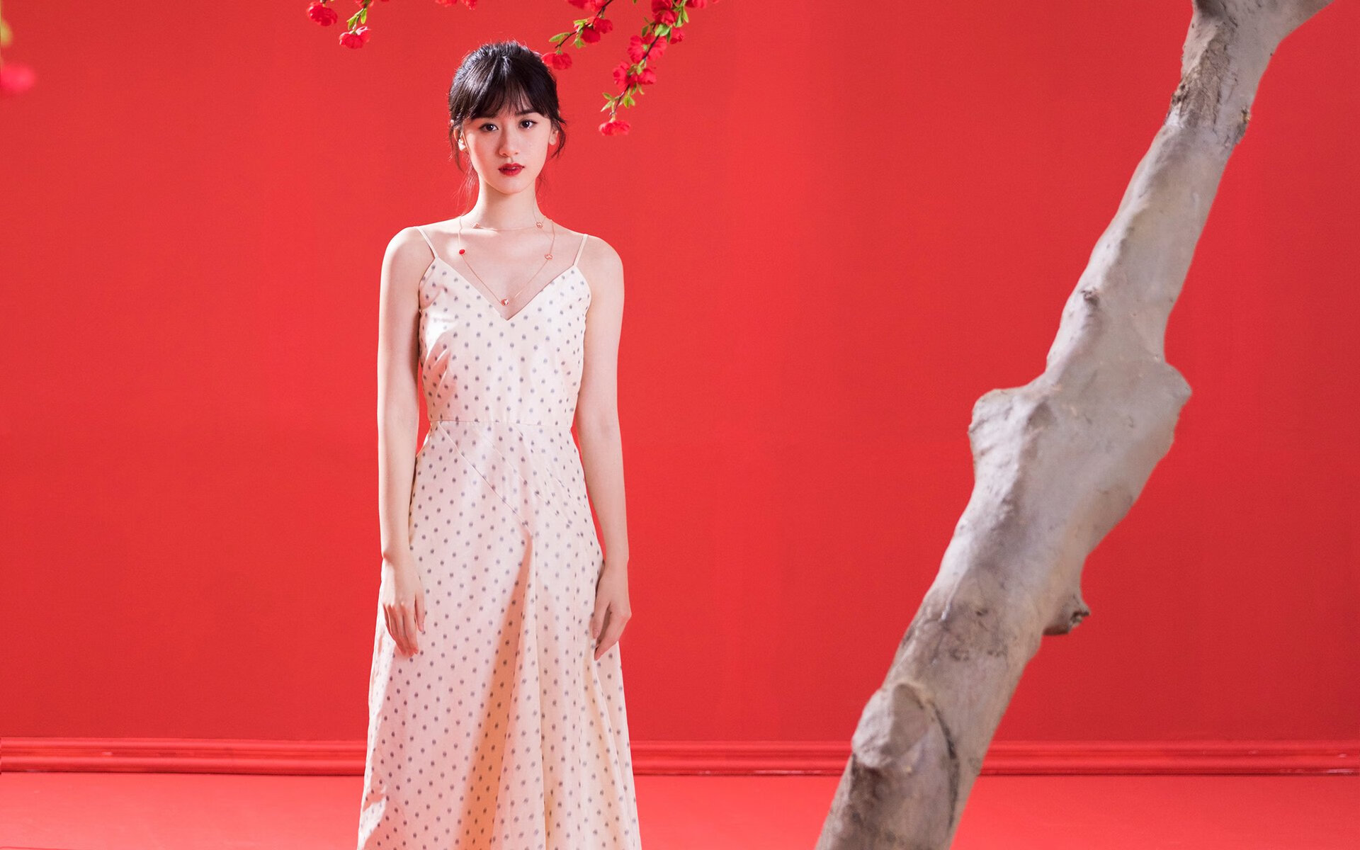 南半球的风暴,无名小卒戈麦斯如何导演澳大利亚掀翻欧洲豪门里昂