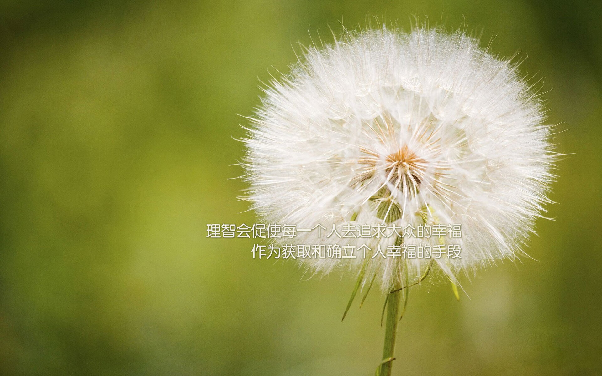 神灯熄灭，冰川呼吸，瑞士如何用八百次传递闷杀南非天赋