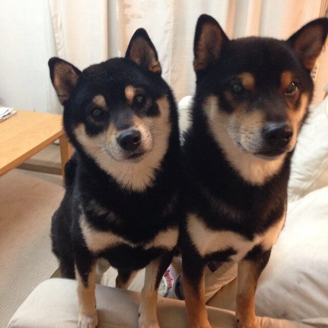 绿军苹果城之战与密尔沃基的救赎夜，篮球哲学的双面镜