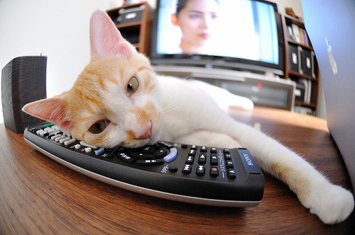 盾与长矛，现代篮球的终极博弈