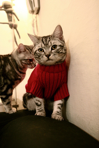 命运交叉口，阿坎吉爆发夜与葡萄牙的提前审判