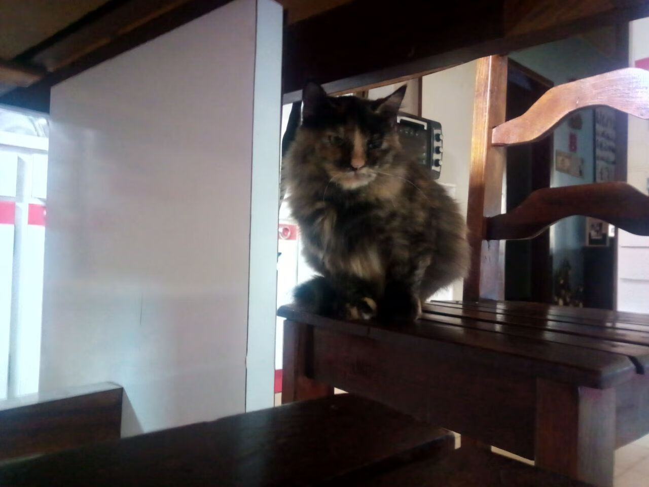 错位时空，快船鏖战广东背后的硬仗密码