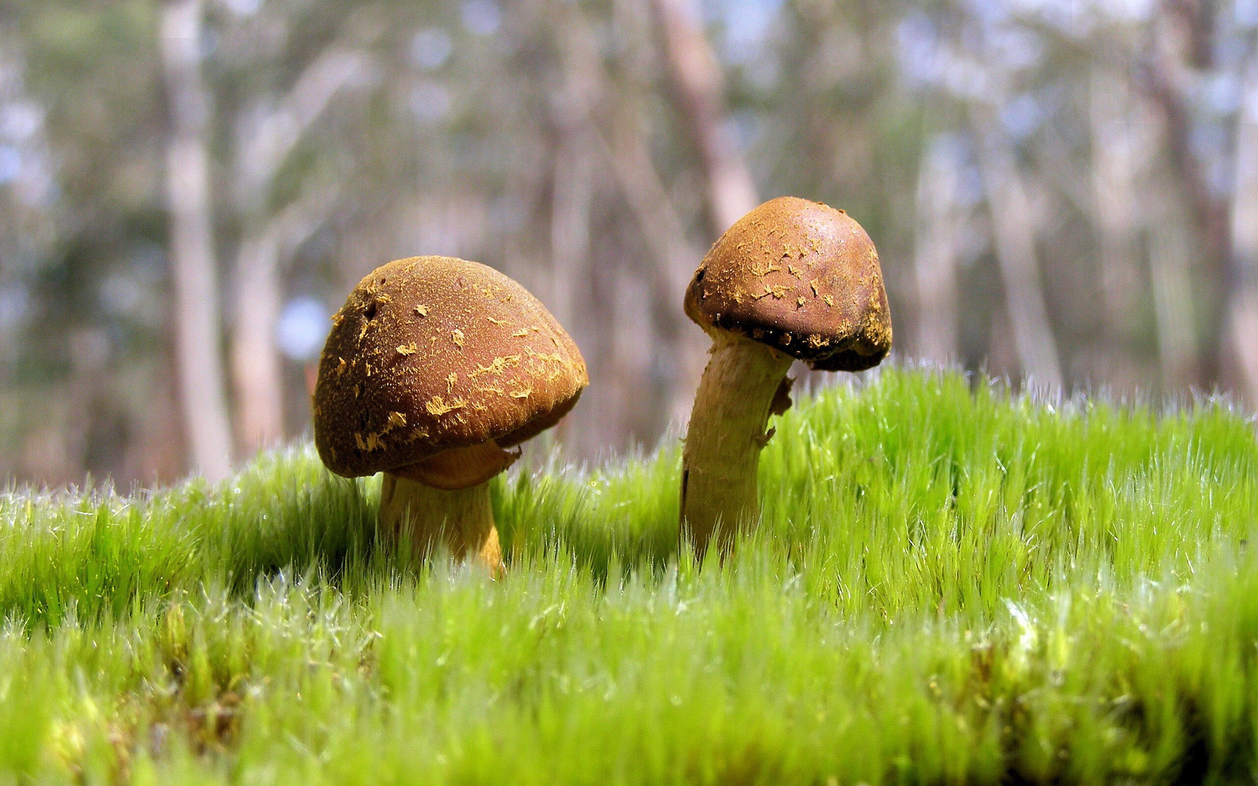 防守艺术的统治与终局之志，当德里赫特用数据定义现代中卫，波兰用加时诠释不屈