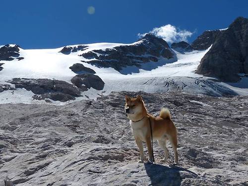 当抢七失去悬念,皇马用提前终结写就的欧冠唯一性
