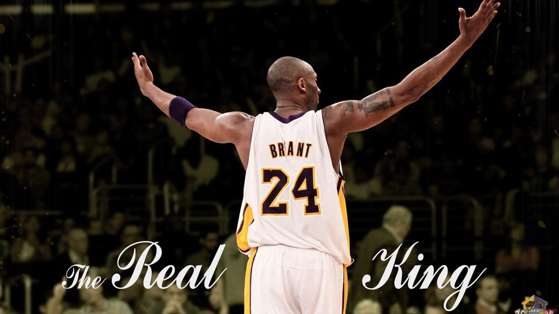 莱万爆发与威尔士单节狂飙,欧洲足坛的独特一夜