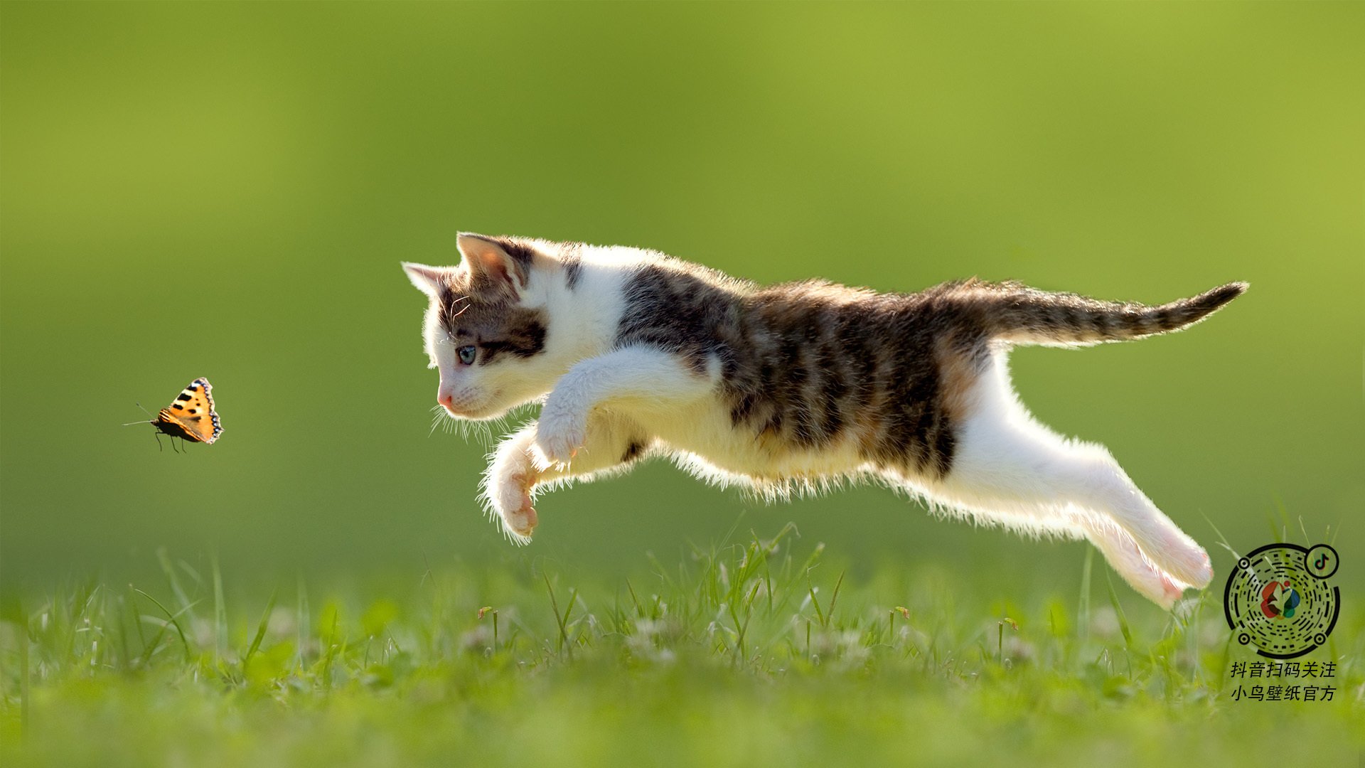 风暴之眼,当喀麦隆雄狮在威斯特法伦驯服大黄蜂