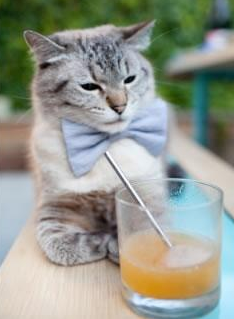 尼日利亚对阵巴西,马丁内利稳定得不像人类