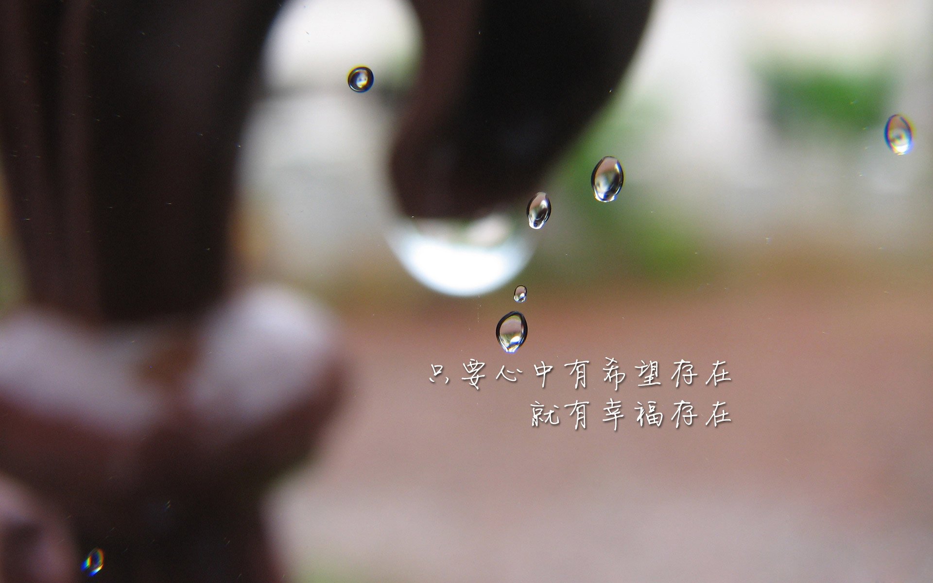 孤星独耀,2026世界杯H组关键战,斯洛伐克碾压伊朗,努涅斯带队取胜,状态火热引燃全场